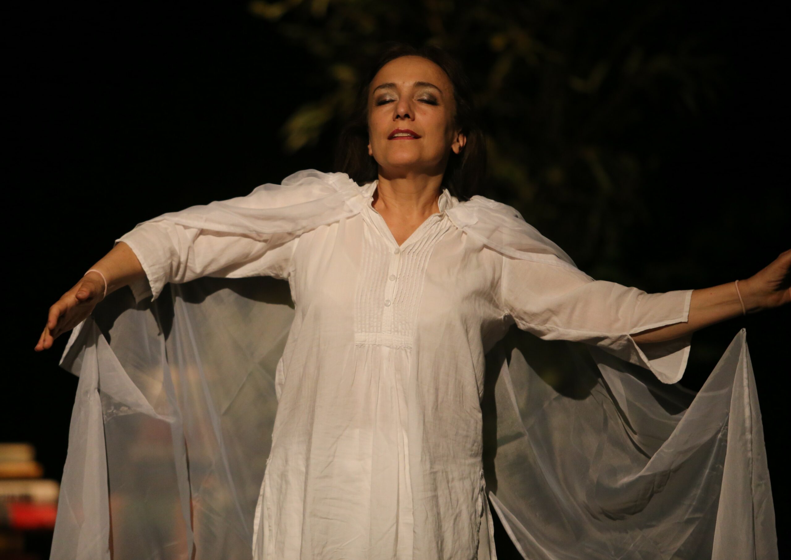 spectacle de juillet 2022"je'y vois plus clair "f parmentier